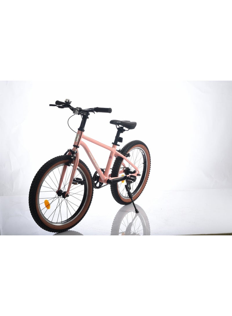 Raleigh POP 20 Inch alloy frame single speed - Image 2